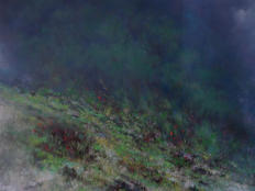 Ladera en el bosque, óleo sobre tela, 123 x 123 cm